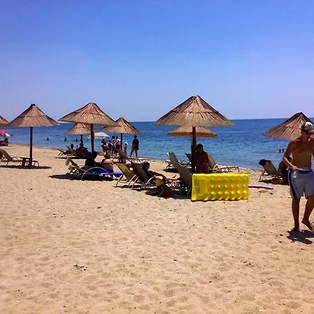 Daire Kapsalas Michaniona