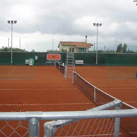 Daire Kapsalas Michaniona